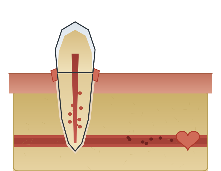 Illustration: Gum disease & your general health