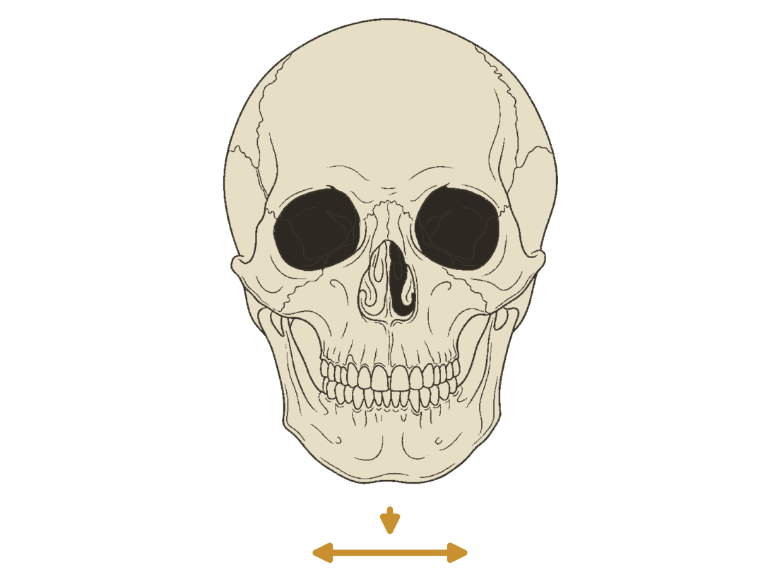 Illustration: Jaw exercises