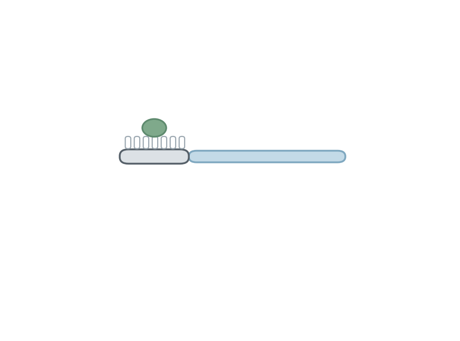 Illustration: Children's toothpaste: how much and when